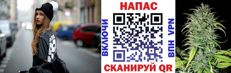 блэк спрут   Костерёво  Бошки марихуана тримм 